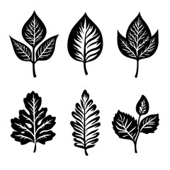 Fototapeta premium collection of various leaf shapes in black and white silhouette vector style