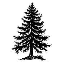 pine tree silhouette black and white vector