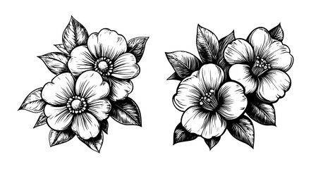 two floral bouquets in hand drawn engraving style – botanical vector illustration