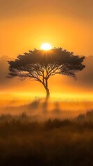 Fototapeta premium A tree without leaves in the middle of an open field, with sun shining through branches 