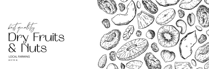 Dried fruits and nuts drawing. Vector label template.