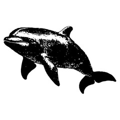 realistic black and white dolphin vector illustration © Luka
