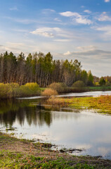 Calm lake with trees in the background