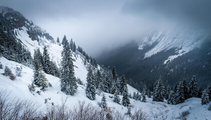 snowy mountain slope on gloomy winter day