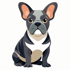 Obraz premium french bulldog isolated on white, Color vector illustration. Pet animal, Cartoon Vector 