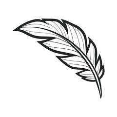 Vintage feather illustration isolated on a white background