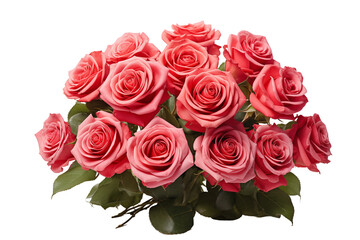 Obraz premium Roses Bouquet on a transparent Background, Symbolizing Love, Romance, and Purity – Perfect for Weddings, Special Occasions, and Floral Arrangements, Captured in Natural Light. PNG cut out.