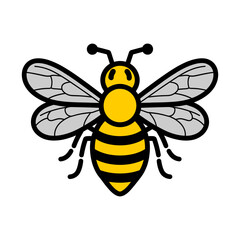 Honey Bee Illustration