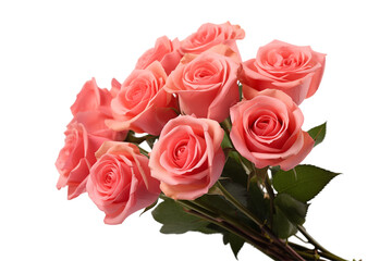 Obraz premium Roses Bouquet on a transparent Background, Symbolizing Love, Romance, and Purity – Perfect for Weddings, Special Occasions, and Floral Arrangements, Captured in Natural Light. PNG cut out.