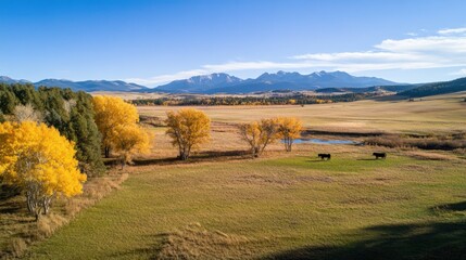 Obraz premium Autumnal Ranch Landscape: Golden Aspens and Majestic Mountains