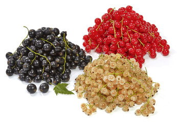 Kolorowe porzeczki w jednym miejscu © Jolaya