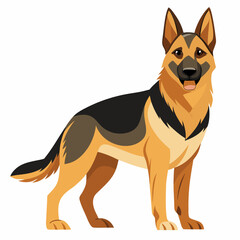 german shepherd dog isolated on white, Color vector illustration. Pet animal, Cartoon Vector 