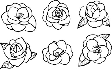 A collection of six hand-drawn camellia flowers in various styles. Each flower features distinct petals and leaves