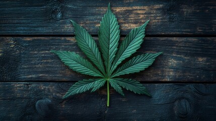 Naklejka premium Cannabis leaf resting on rustic wooden surface