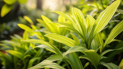 Obraz premium Nature of green leaf in garden. Natural green leaves plants using background cover page environment ecology or greenery wallpaper