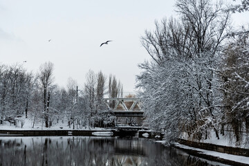 Train bridge over Herastrau lake, winter days, Bucharest, Romania.