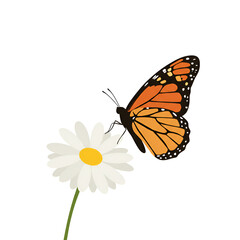 Fototapeta premium Butterfly Flying Over a Flower
