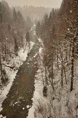 Gebirgsbach in einer Winterlandschaft