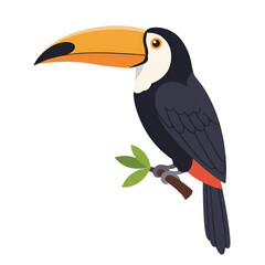 Tropical Bird with Curved Beak