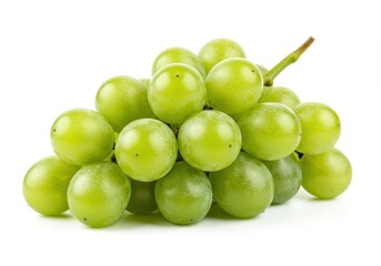 A bunch of fresh green grapes on the vine with a smooth glossy texture isolated on white background