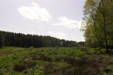 Nature of northern Poland. Stunning landscape.