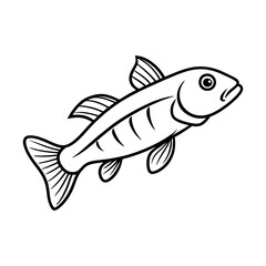 vector illustration of a fish