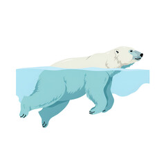 Polar Bear Swimming in Clean Water