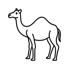 camel cartoon illustration