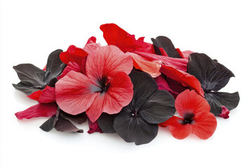 vibrant mix of red and black flower petals arranged beautifully, perfect for decoration or culinary use