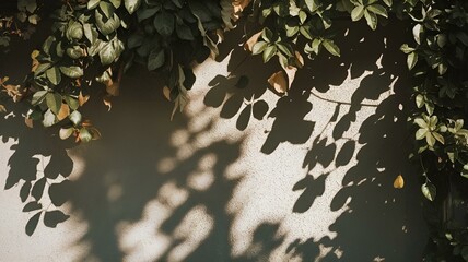 Тени листьев на белой стене в солнечный день. Минималистичный природный фон с игрой света и теней.