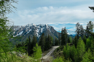 Rugged peak of Dobratsch mountain, capped with patches of snow, dominates horizon framed by lush green forests in Gailtal Alps. Winding gravel road cuts through verdant landscape, inviting exploration