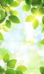 A calming summer landscape of green leaves and bright sky illuminated by natural bokeh light.