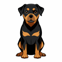 rottweiler dog isolated on white, Color vector illustration. Pet animal, Cartoon Vector 