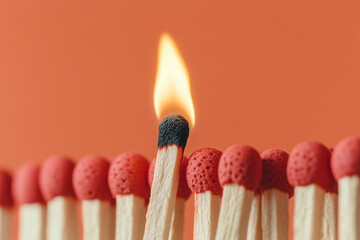 Burning Bright: One ignited matchstick stands out among a row of unlit matches, symbolizing leadership, uniqueness, and standing out from the crowd.  