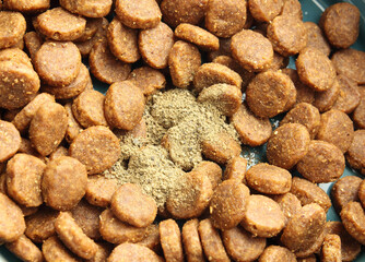 Medication in kibbles or pet food. Green dental powder sprinkled over food for dog. Administer medication, drug treatments, supplements, probiotics or vitamins to animals or pets. Selective focus.