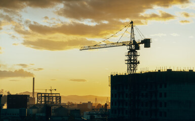 crane sunshine contruction