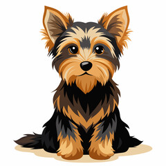yorkshire terrier dog isolated on white, Color vector illustration. Pet animal, Cartoon Vector 