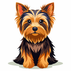 yorkshire terrier dog isolated on white, Color vector illustration. Pet animal, Cartoon Vector 