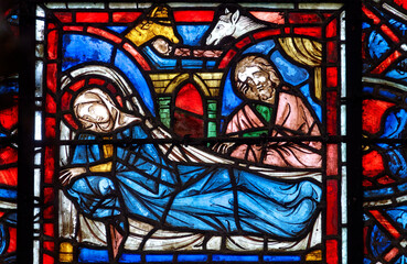 Fototapete bei efototapeten.de bestellen   