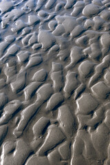 Bandon Beach Sand Texture