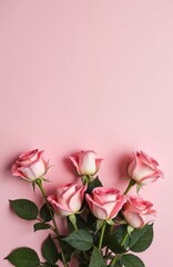 Top view of pink roses bouquet on pink background. Floral minimal composition with blank copy space for holiday, celebration, greeting card design or romantic postcard.