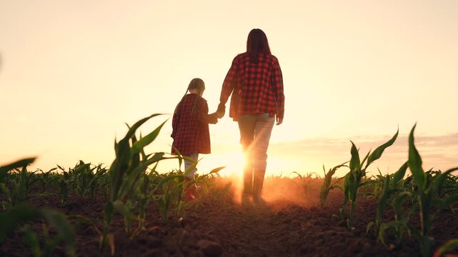 mother child holding hands, agriculture, farm business plantation, mother farmer child child daughter girl walking through corn field, happy family, little girl with mom working farm field sunset