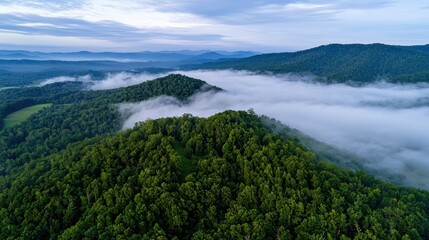 A breathtaking view captures the rolling hills and valleys shrouded in fog. Lush greenery thrives on the mountains, illuminated by the soft morning light. Nature's tranquility is evident