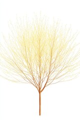 Obraz premium Botanical artwork featuring a gorse plant in classic colored pencil on a simple background, suitable for wall art and home decor, designed in digital format