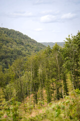 Hill side slope leaning to the left side with leaf trees and other forest hills in the background, North Rhine-Westphalia, Germany