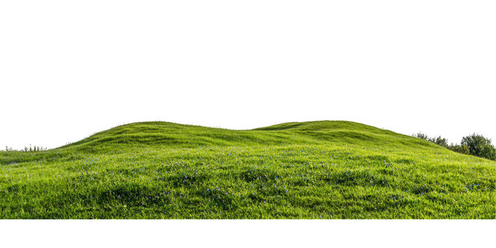 Green rolling hills covered with lush grass under a clear sky showcasing the beauty of nature's landscape in a tranquil outdoor setting suitable for various activities