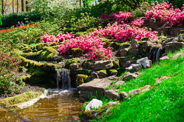 flower bed in the garden