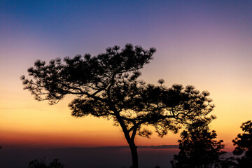 Fototapeta premium Nature Landscaps and Sunset 