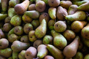 Closeup of fresh ripe pears in abundance. Fruit background..