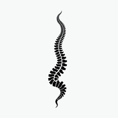Stylized black spine illustration on light background, anatomical design